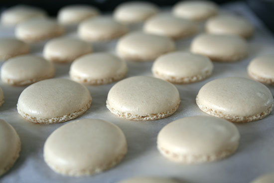 Coques de macarons.html